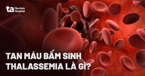 tan-mau-bam-sinh-thalassemia.jpg